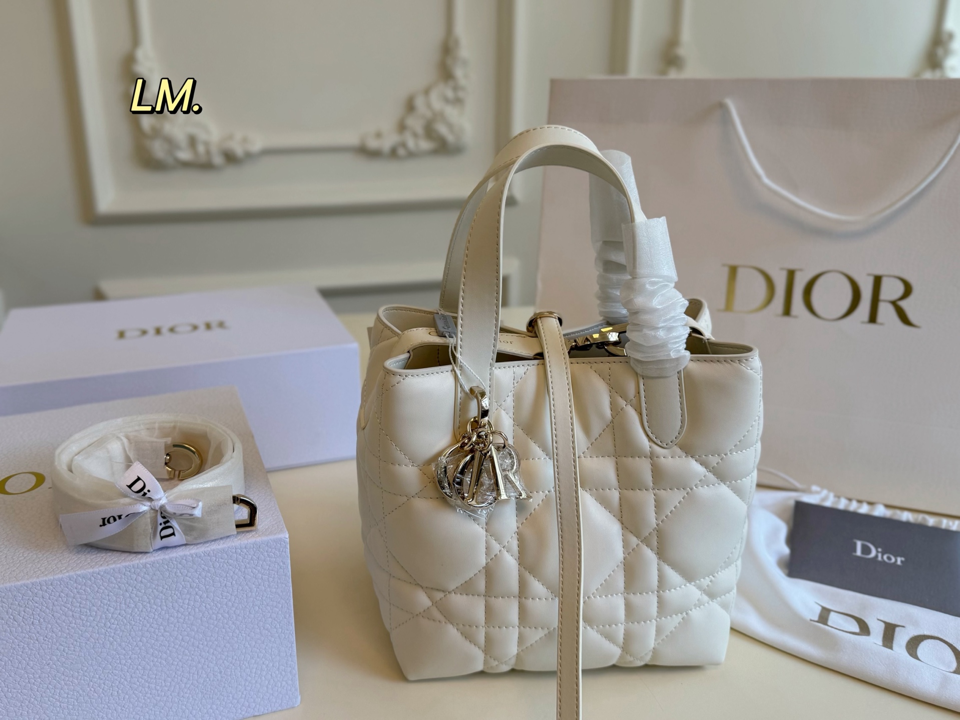 DIOR bag 64